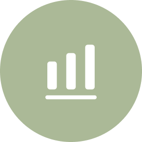 Marketing Strategy Icon